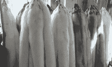 狐狸皮多少钱啊