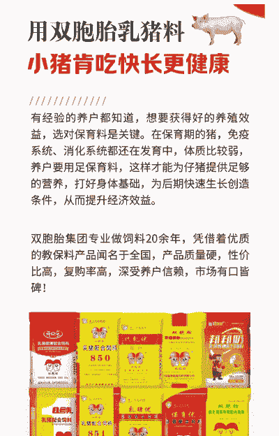 小猪喂乳猪料到多少斤是