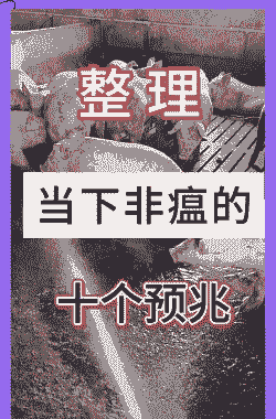 非州猪瘟死了多少人