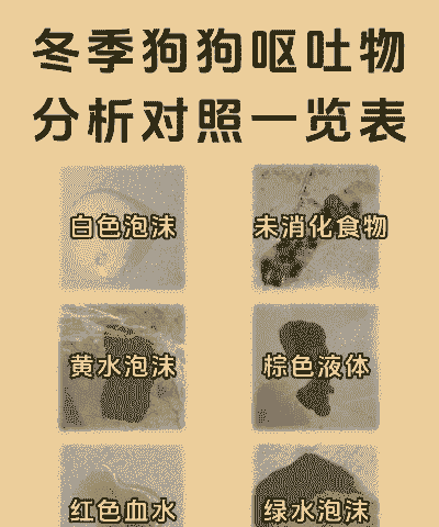 饲料中的呕吐毒素是多少