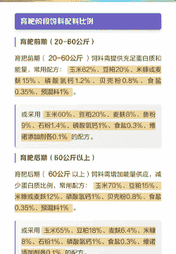 猪的饲料配比是多少呢
