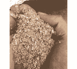 猪饲料麸皮加多少合适