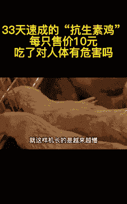 激素鸡成本多少钱