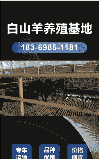 广西哪里做养殖的多少钱