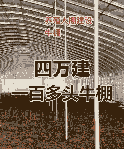 建养牛的棚需要多少钱