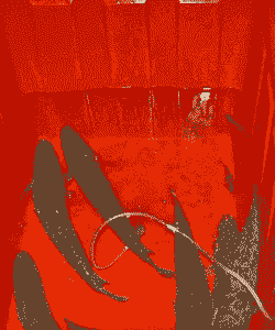 黑鱼一斤多少钱2017