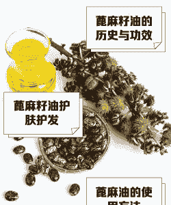 一亩蓖麻能榨多少油