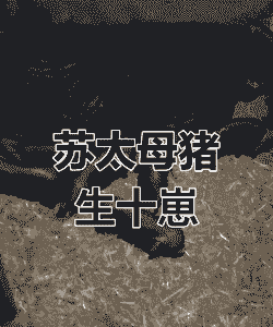 苏太母猪一胎产多少