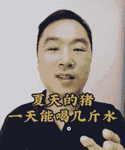 猪要饮多少水一天