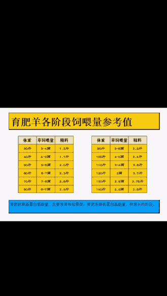 羊一关吃多少斤饲料