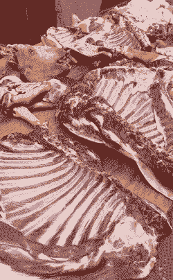 一百斤的羊能出多少肉