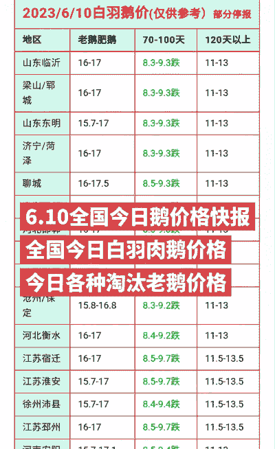 鲜鹅多少钱一斤