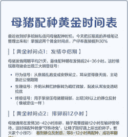 母猪一次养多少小猪