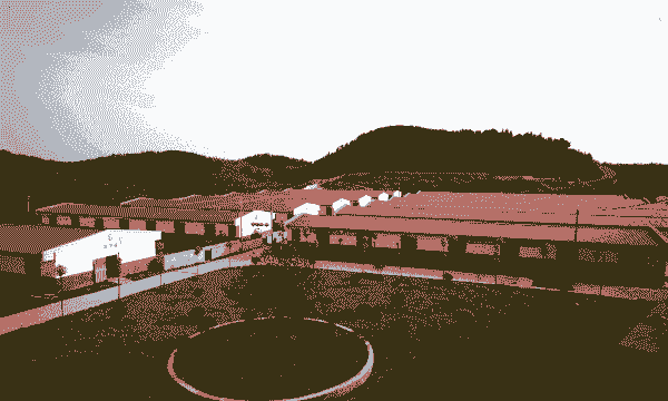 江西正邦养殖场有多少