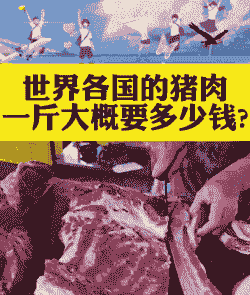 国外猪的屠宰率为多少