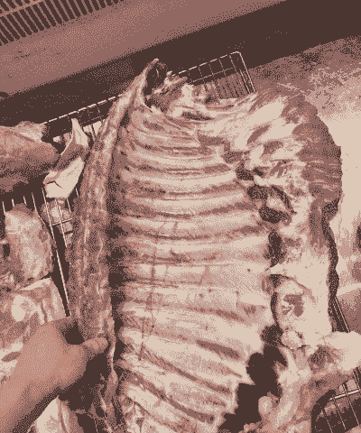 三百斤的猪有多少斤排骨