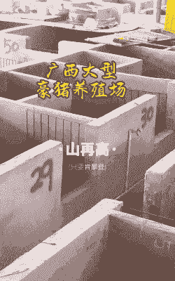 广西省有多少养猪场