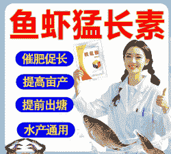 鱼饲料加多少赖氨酸合适