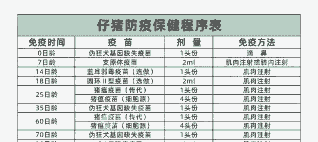 多少天给仔猪打猪瘟疫苗