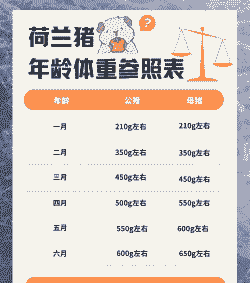 猪的重量是多少千克