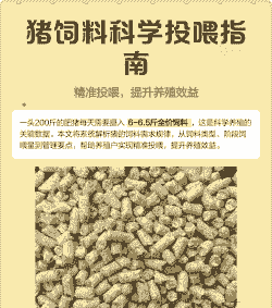 一头肥猪吃多少斤饲料