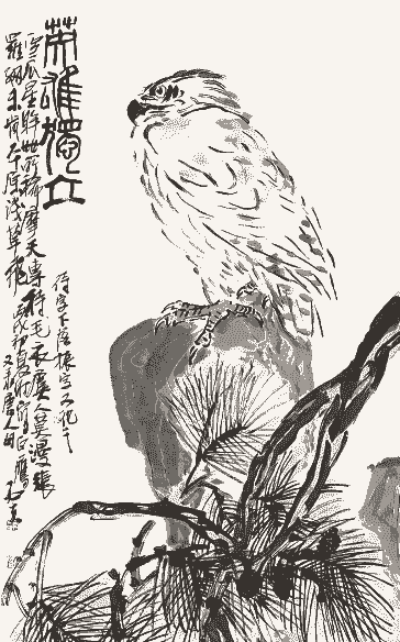 购买老鹰一只多少钱