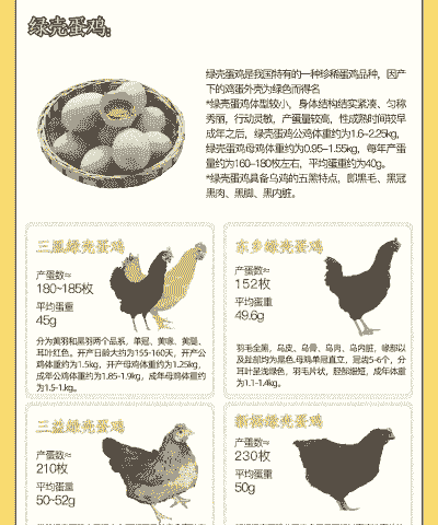 蛋鸡一年可以产多少蛋