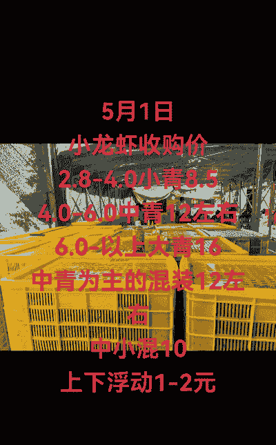 龙虾饲料多少钱一顿