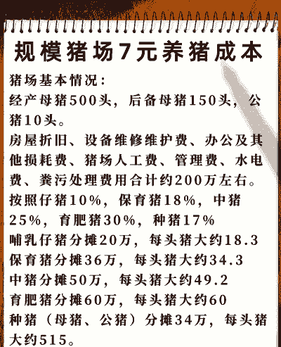 养多少头猪为养猪场