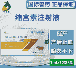 给母猪打催产素打多少