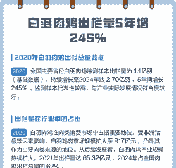 出栏量多少羽是什么意思