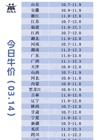 育肥牛价格多少钱一斤