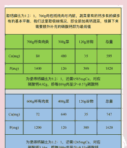 一天钙磷比例该是多少