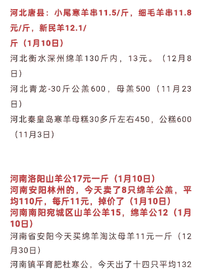 河北活羊多少钱一斤