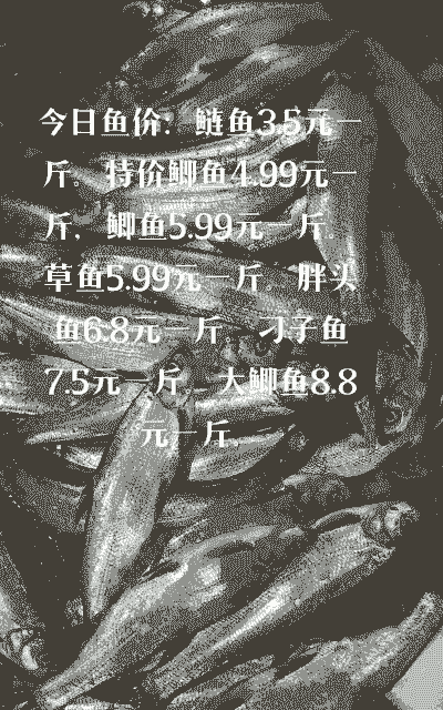 花鲢喂多少钱一斤