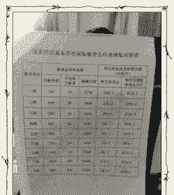 养鸡买保险一只多少钱