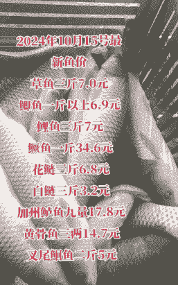 鲫鱼养殖饲料多少钱一吨