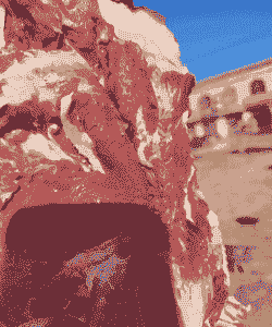 一斤活羊能出多少肉