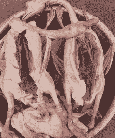 新鲜的鹅肉一斤多少钱