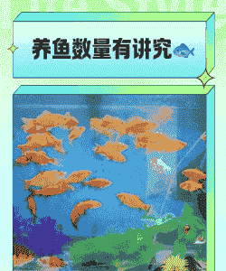 一亩大的池塘养多少鱼