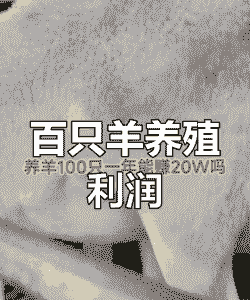 100头羊能赚多少钱