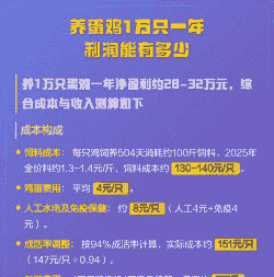 养一个蛋鸡多少钱成本