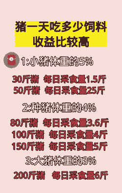 一个猪要吃多少饲料费