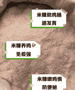小鸡饲料里加多少米糠呢