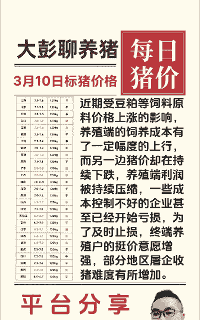 养猪的饲料多少钱一斤