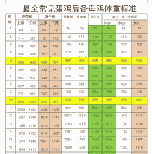 鸡的体重大约是多少