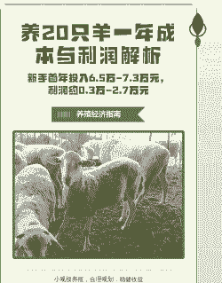 养20只羊的成本是多少