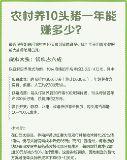 猪养一年收入多少