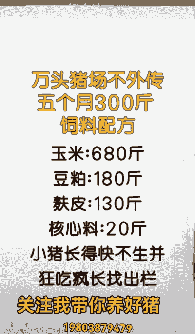 一包猪饲料配多少斤玉米