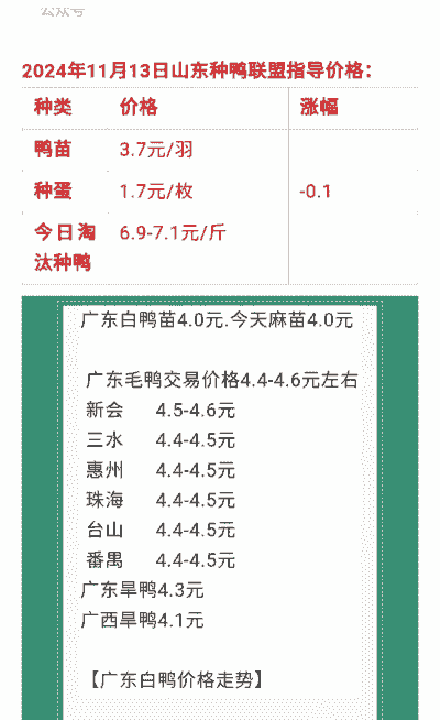 河南养鸭一只成本多少